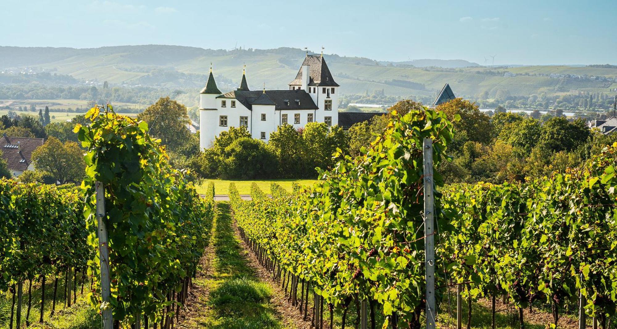 Victor'S Residenz-Hotel Schloss Berg Nennig Dış mekan fotoğraf Schloss Vollrads